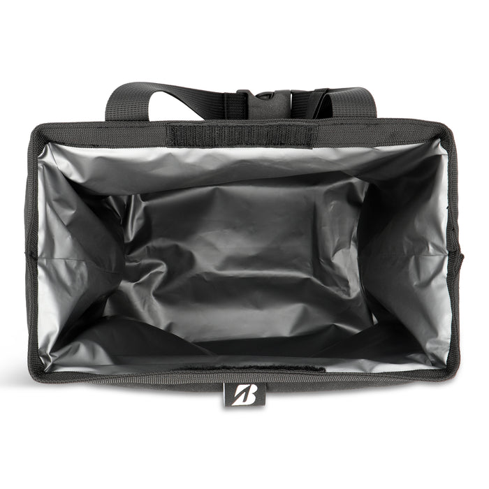 Cooler and storage bag