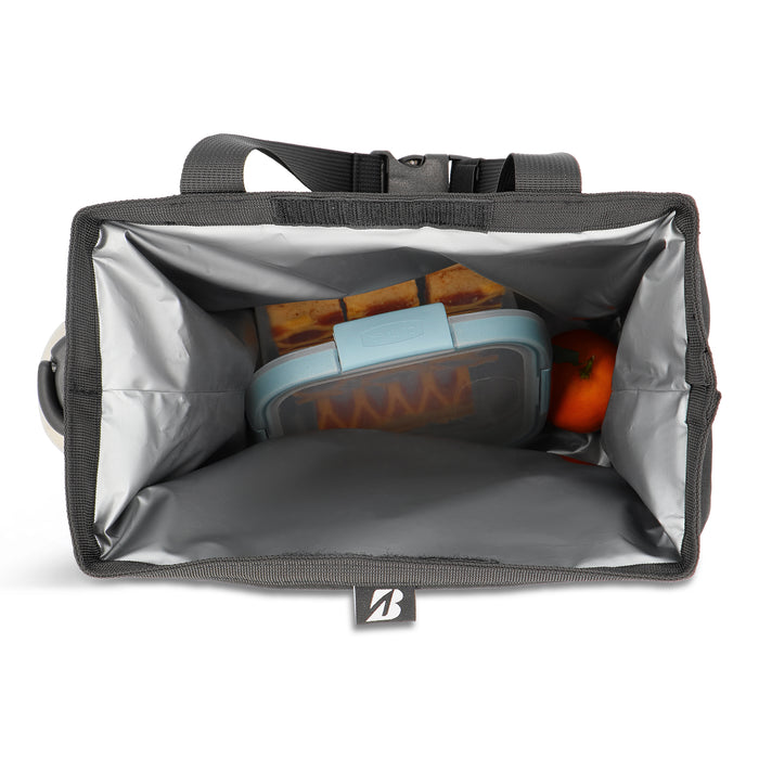 Cooler and storage bag